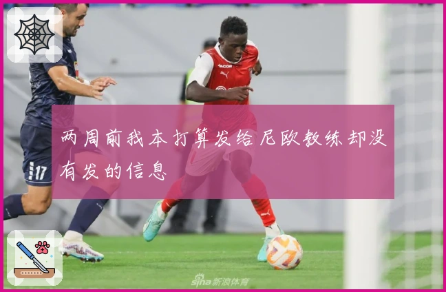 两周前我本打算发给尼欧教练却没有发的信息